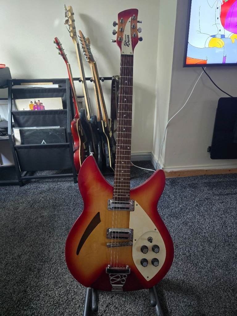 Rickenbacker 330 style hollow body