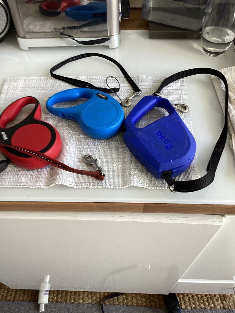 Dog lead