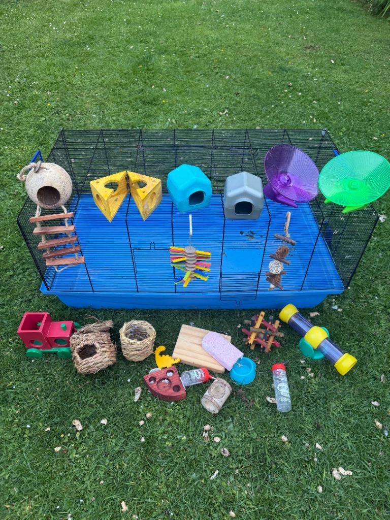 Hamster enclosure and toys 