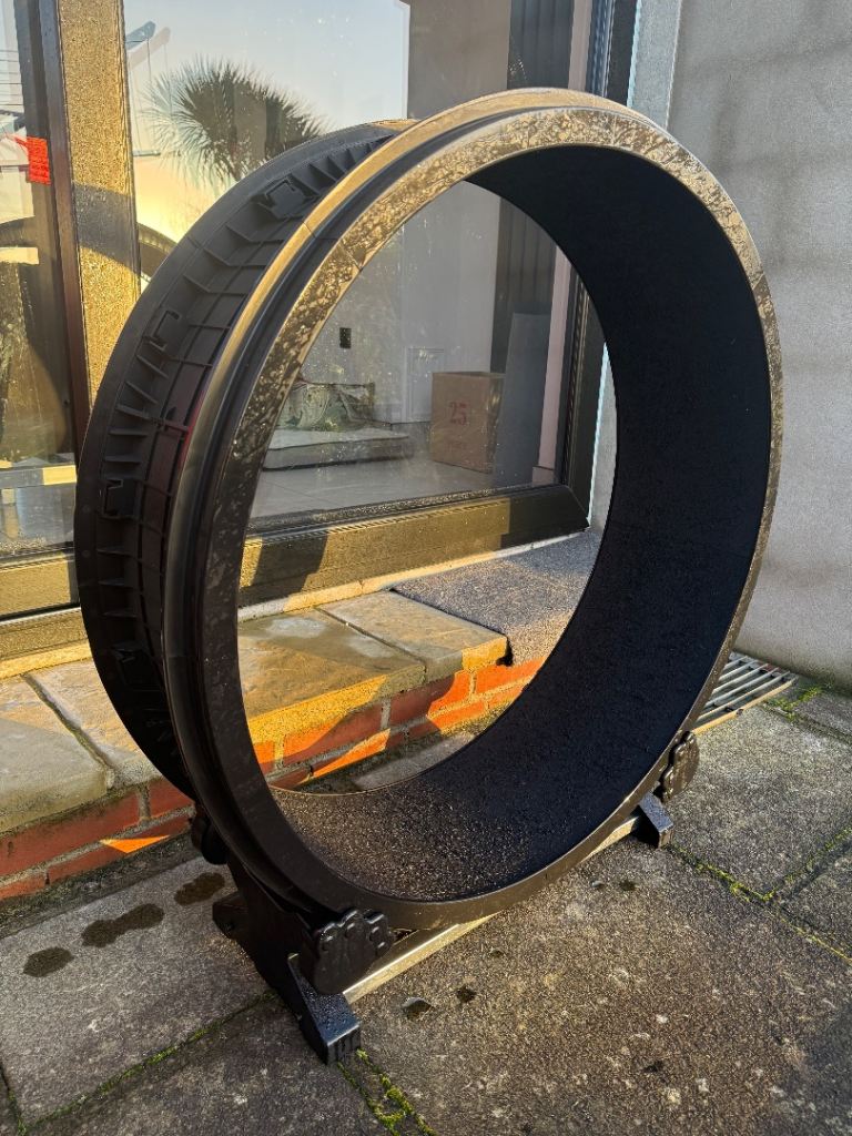 Cat Treadmill Exercise Running Wheel