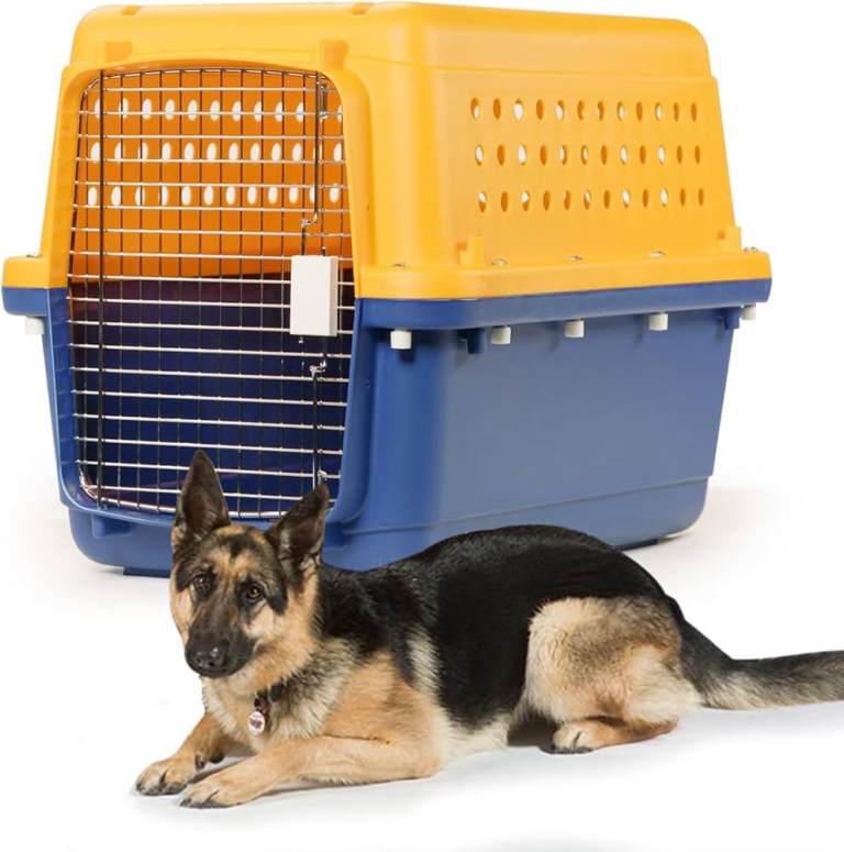 BB75 Travel-Approved Dog Crate