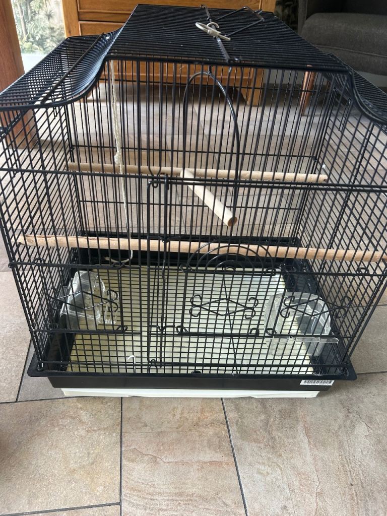 bird cage 