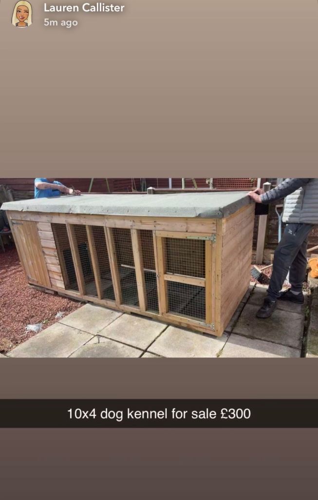 10x4 dog kennel 