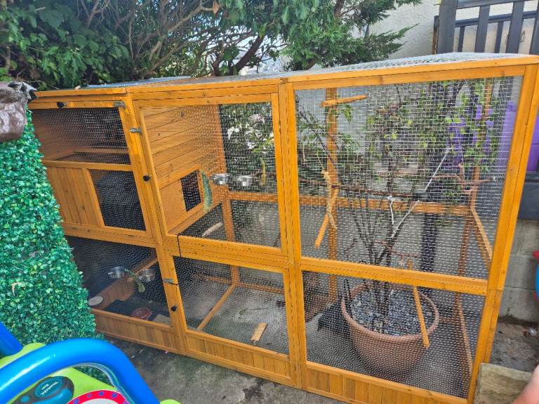 Bird aviary 