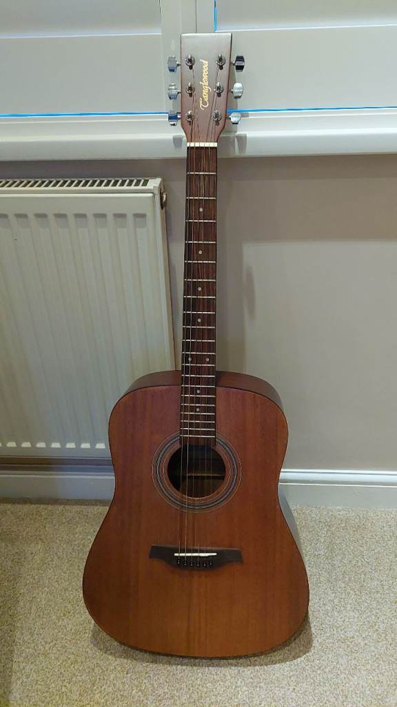 Tanglewood Guitar and Bag