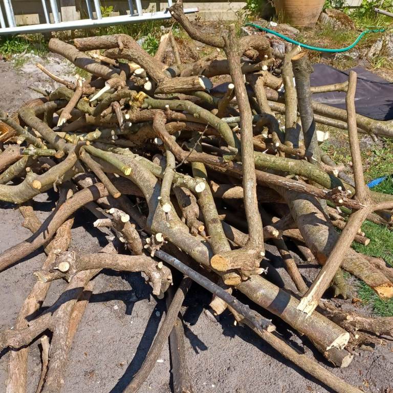 FREE - Large Amout of Wood