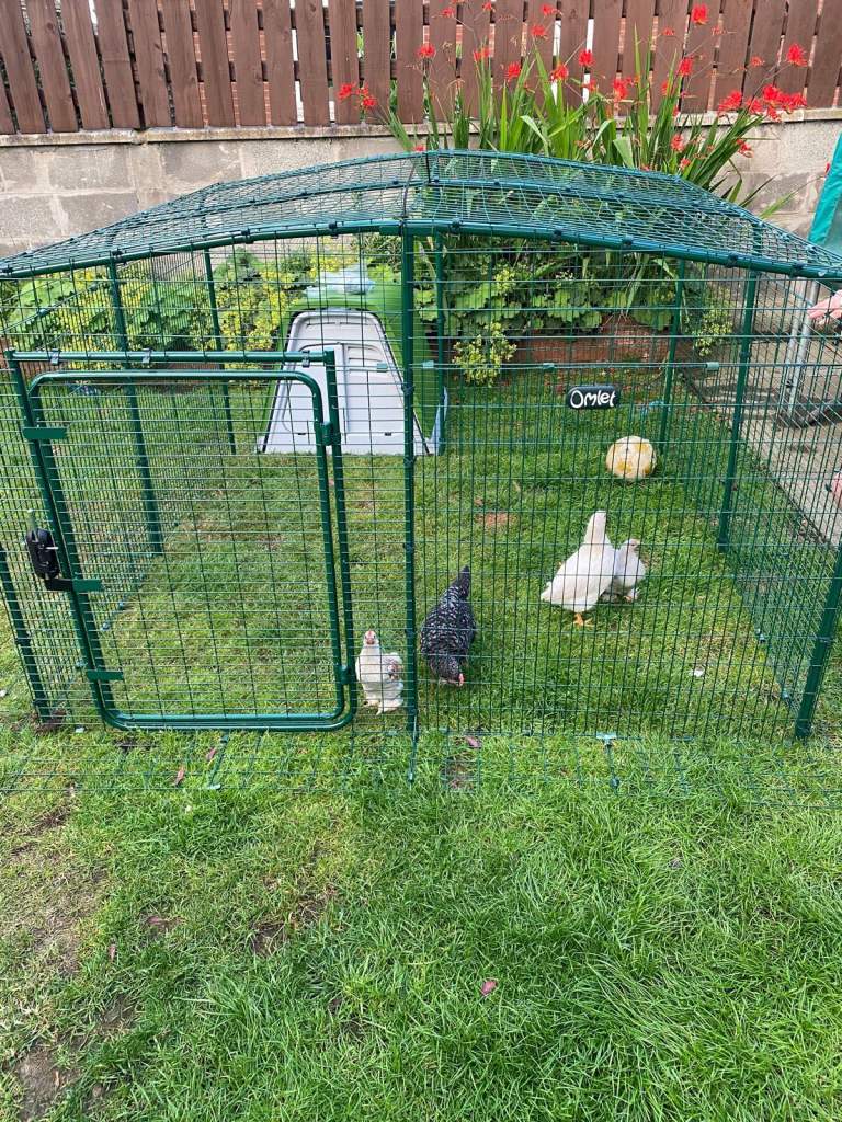 Omlet chicken coop and run