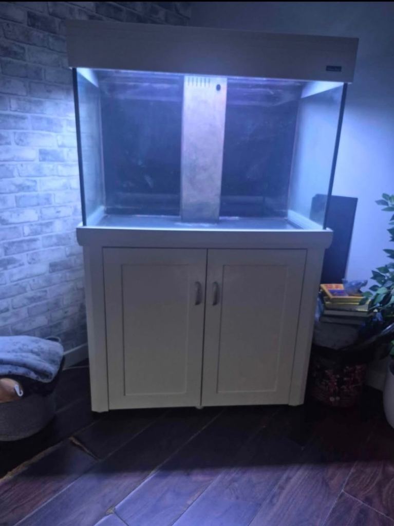 Aqua one marine fish tank