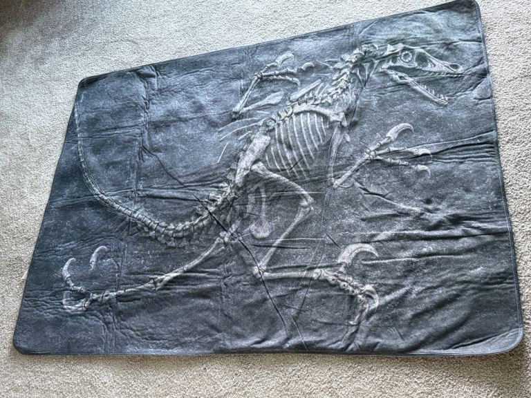 Dinosaur Fossil Skeleton Rug Grey