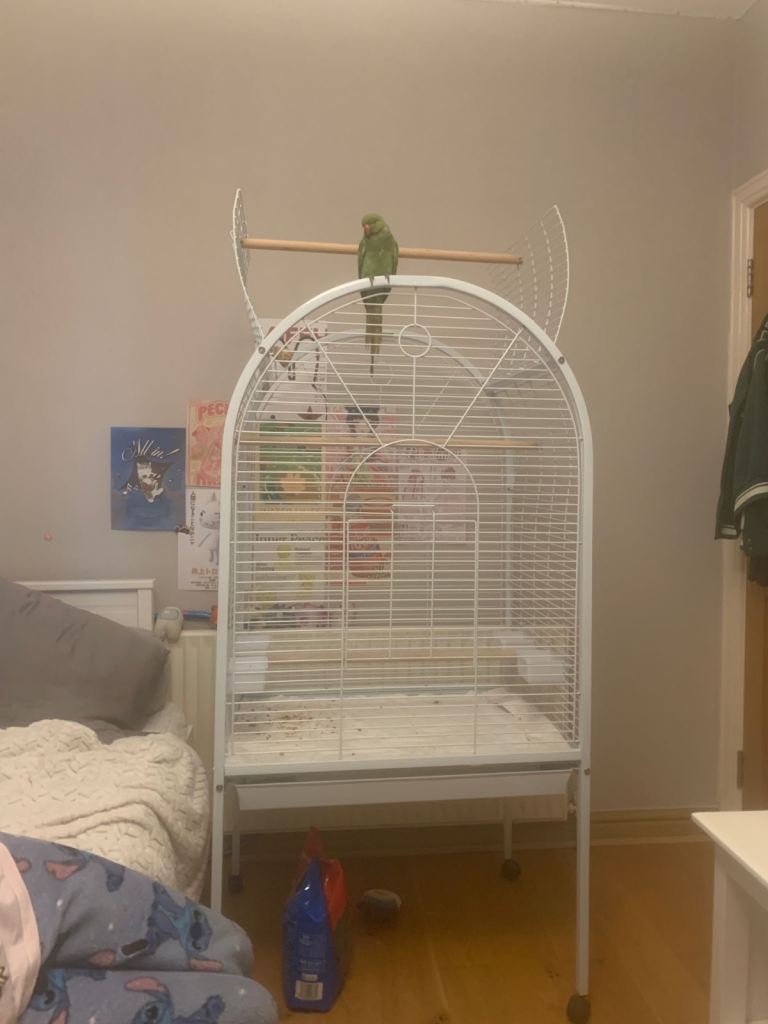 Large parrot cage