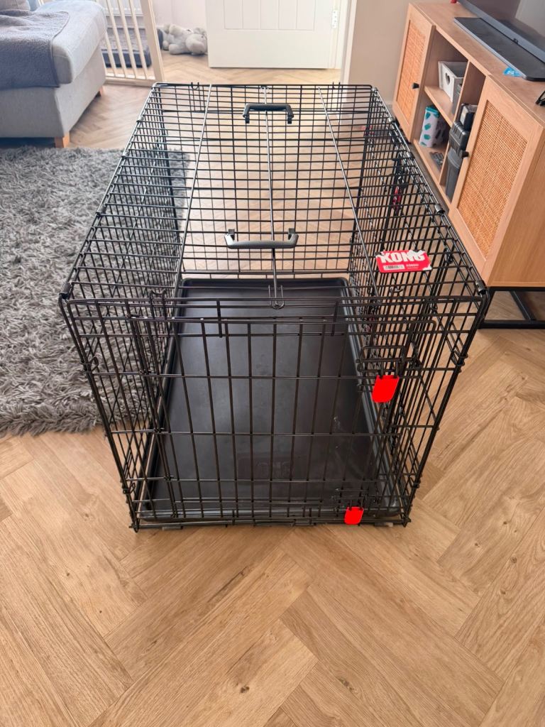 Kong dog crate