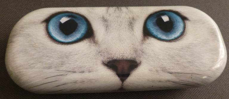 Cat metal glasses case