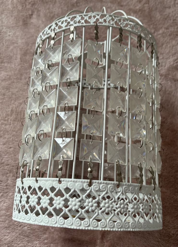 2 x Light Shades £2.50 Each 