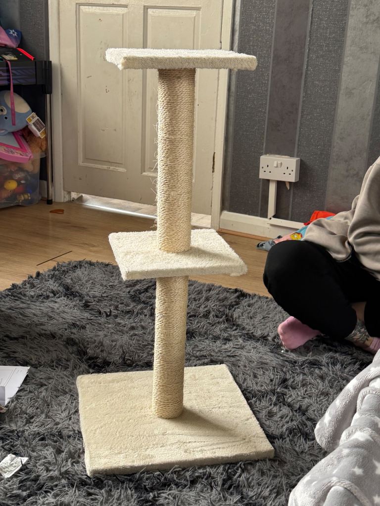 Cat scratcher