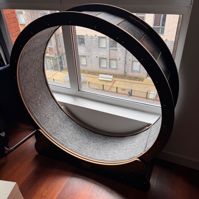 Cat exercise wheel