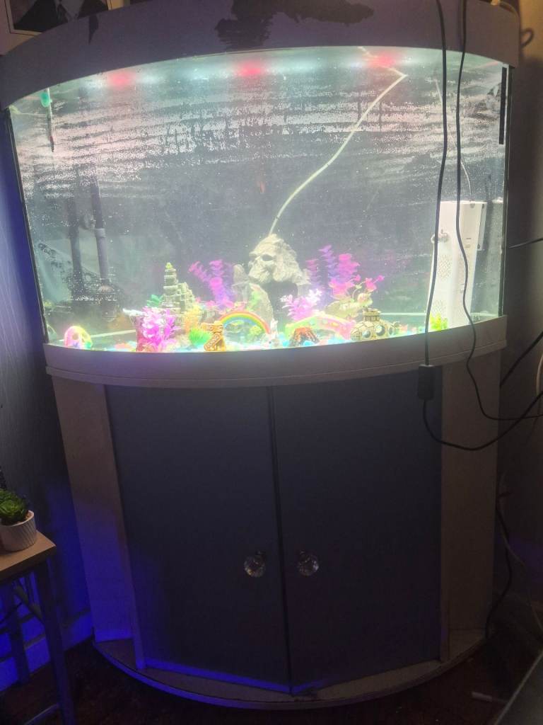 Fish tank worth all the equipment.