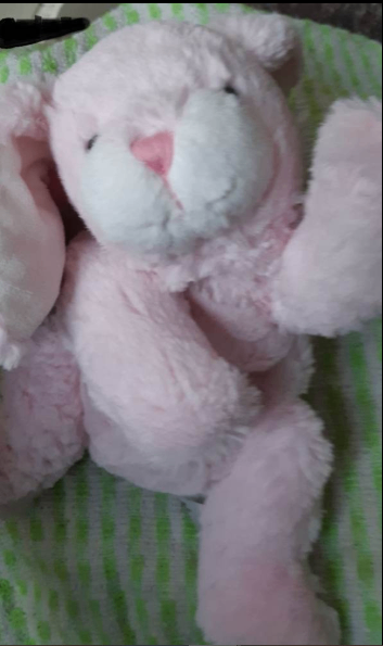 Cuddly Children's Warming microwave Soft pink fluffy bunny