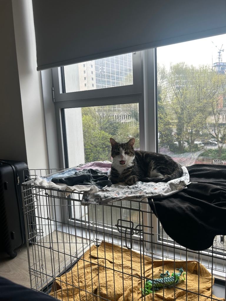 Medium Size Dog Crate 