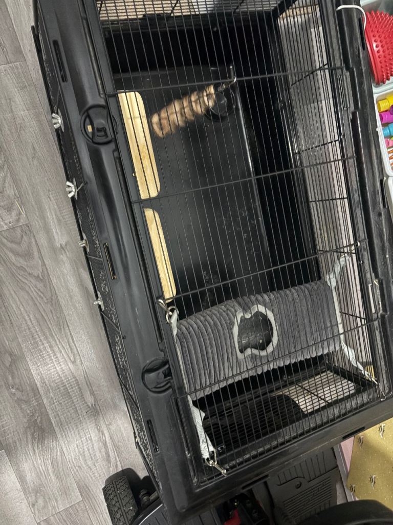 Large Hamster Cage with accessories 