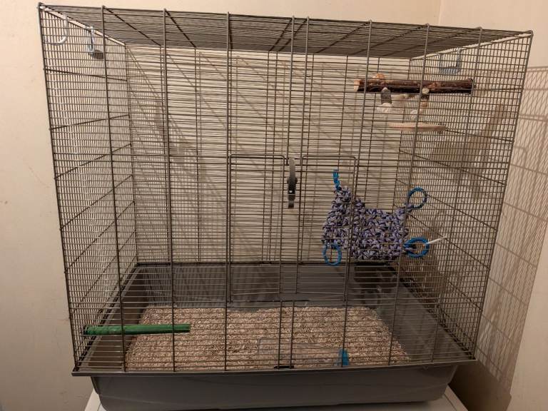 Rat cage