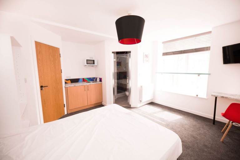 Brynmill All Inclusive Ensuite Room *Students & Professionals*