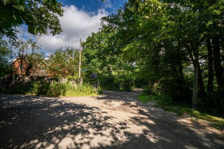 7.5-Acre Freehold Woodland in Crawley