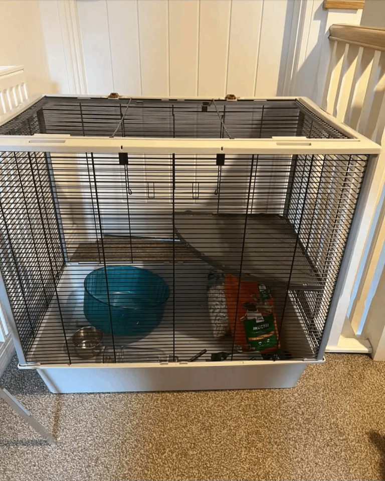 Rat cage An Food Bowl FREE