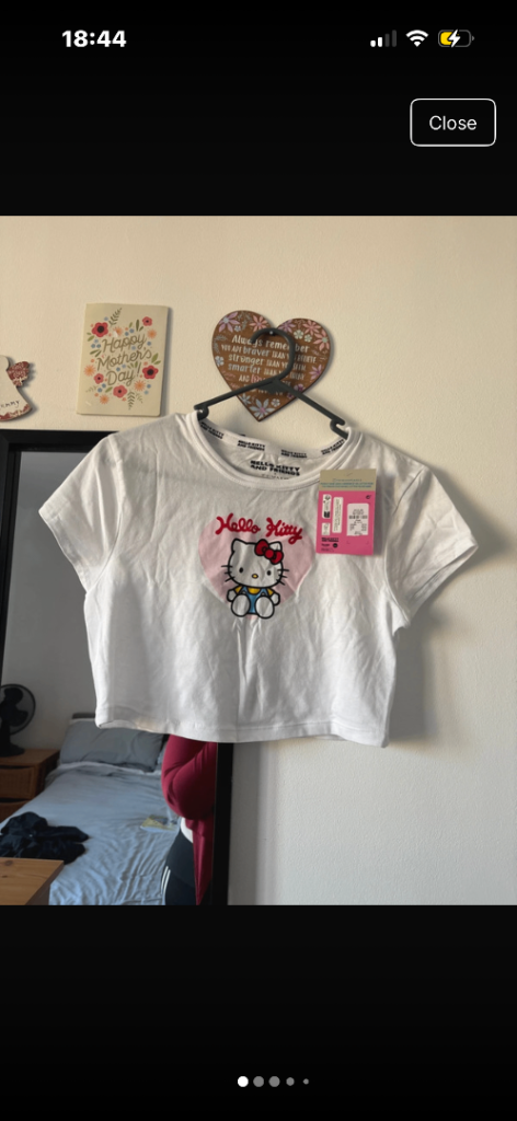 Hello kitty crop top
