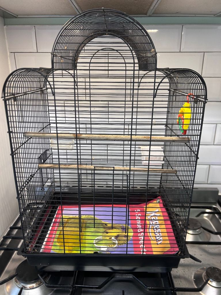 Black Metal Bird Cage