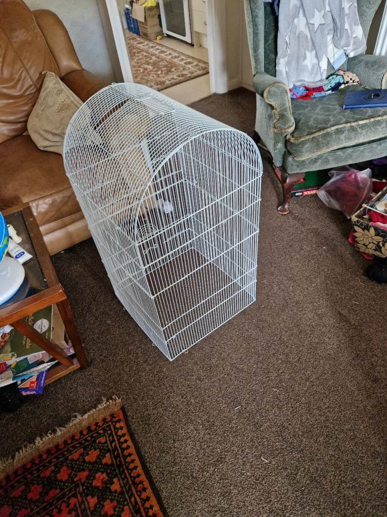 Large bird cage 