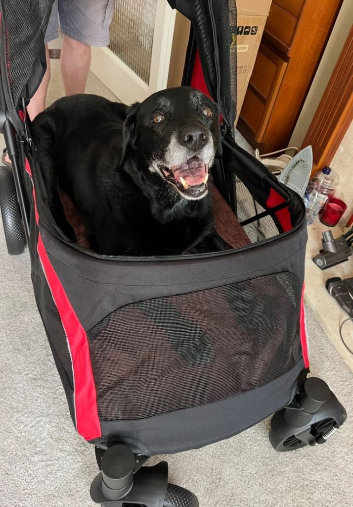 PawHut Foldable Dog Stroller