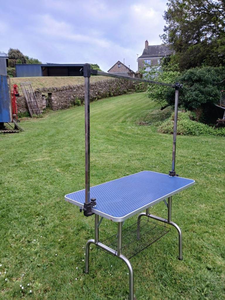 Portable dog grooming table