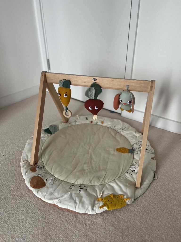 Baby Play Gym with Mat and Hanging Toys – Good Condition