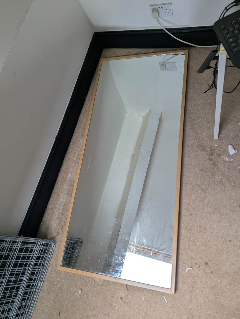 FREE full length mirror