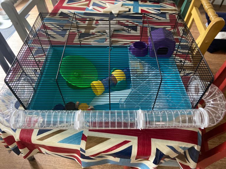 Hamster cage with extras 