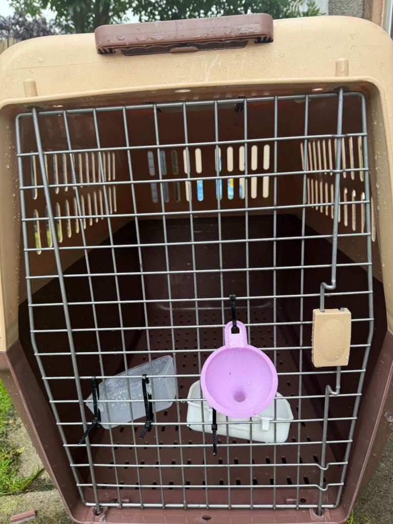  XL plastic dog/pet transport crate for flight 