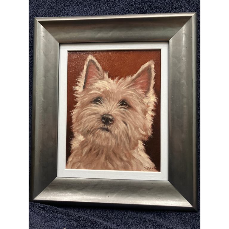 Cairn Terrier Portrait 