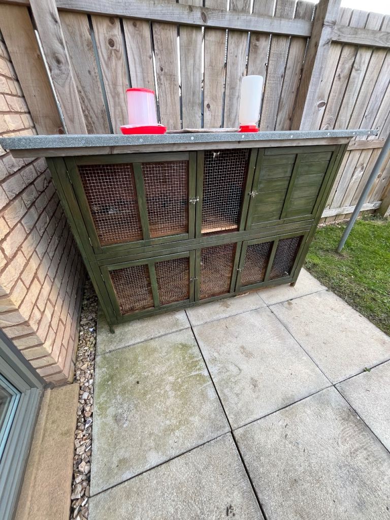 Large chicken coop/ rabbit hutch