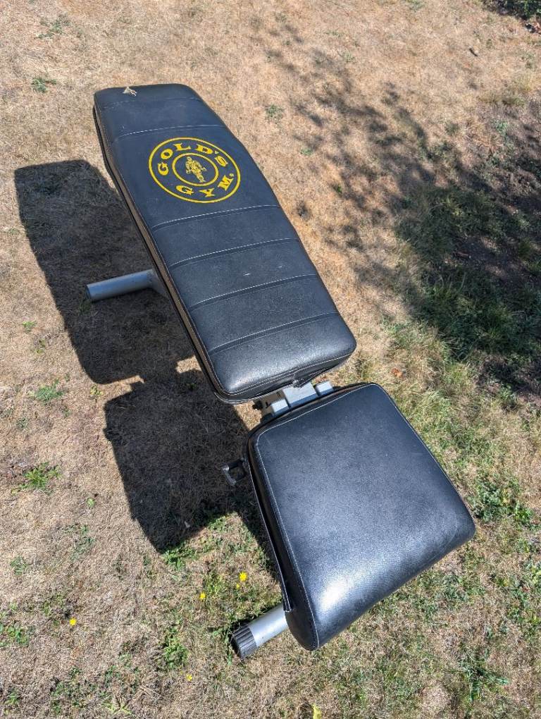 Gold's Gym Weight Bench – Adjustable, Good Condition