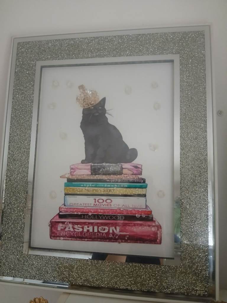 Frame picture cat &books mirrored 