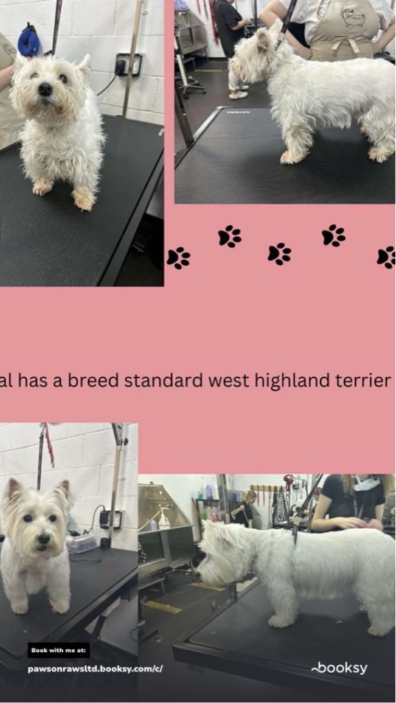 One stop dog shop for your dogs wants and needs 