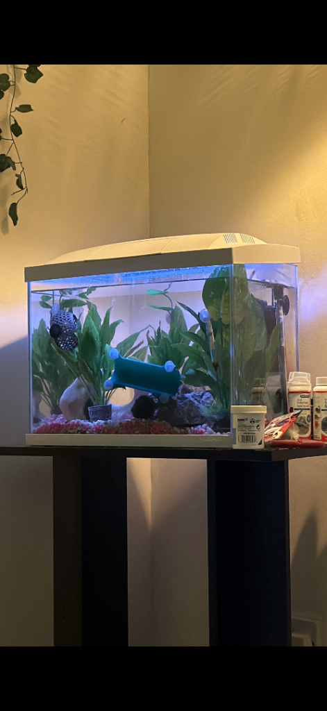 40L fish tank and all bits with it