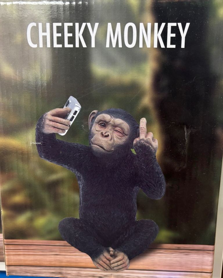 Cheeky Monkey Figurine – Brand New