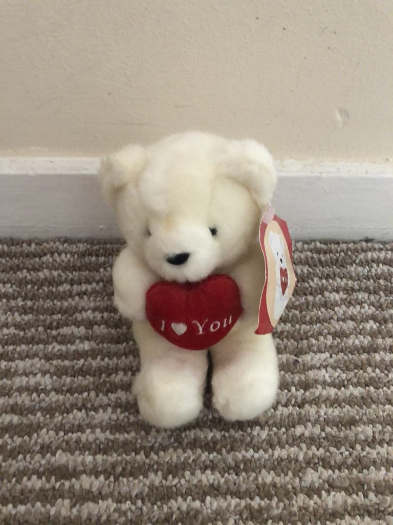 Small white teddy bear with tags