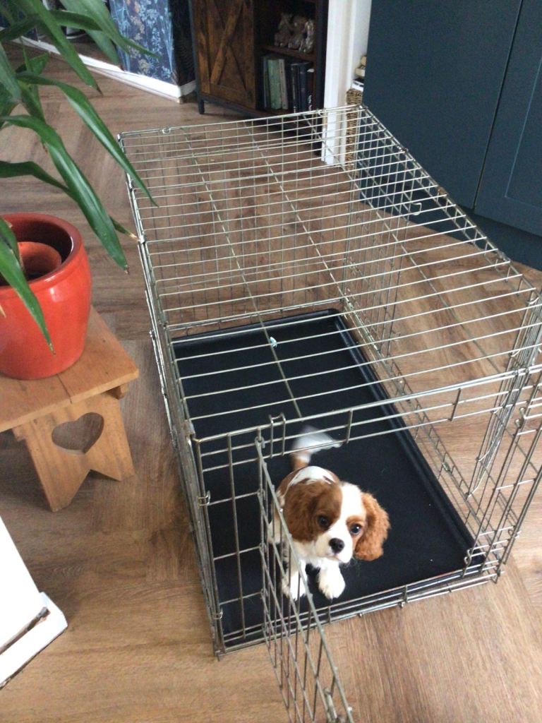 Dog crate