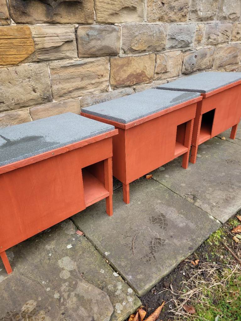 Cat kennels 