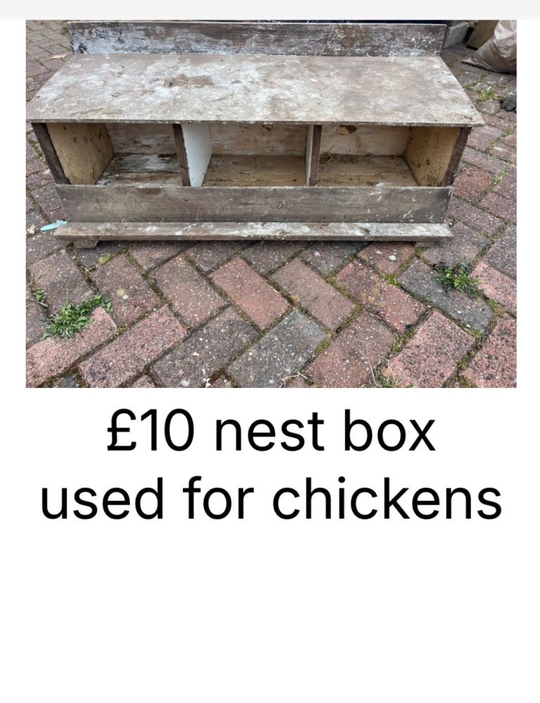 £10 nest box used for chickens