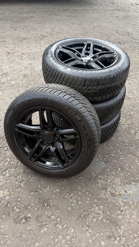 BMW F20 Winter Wheels
