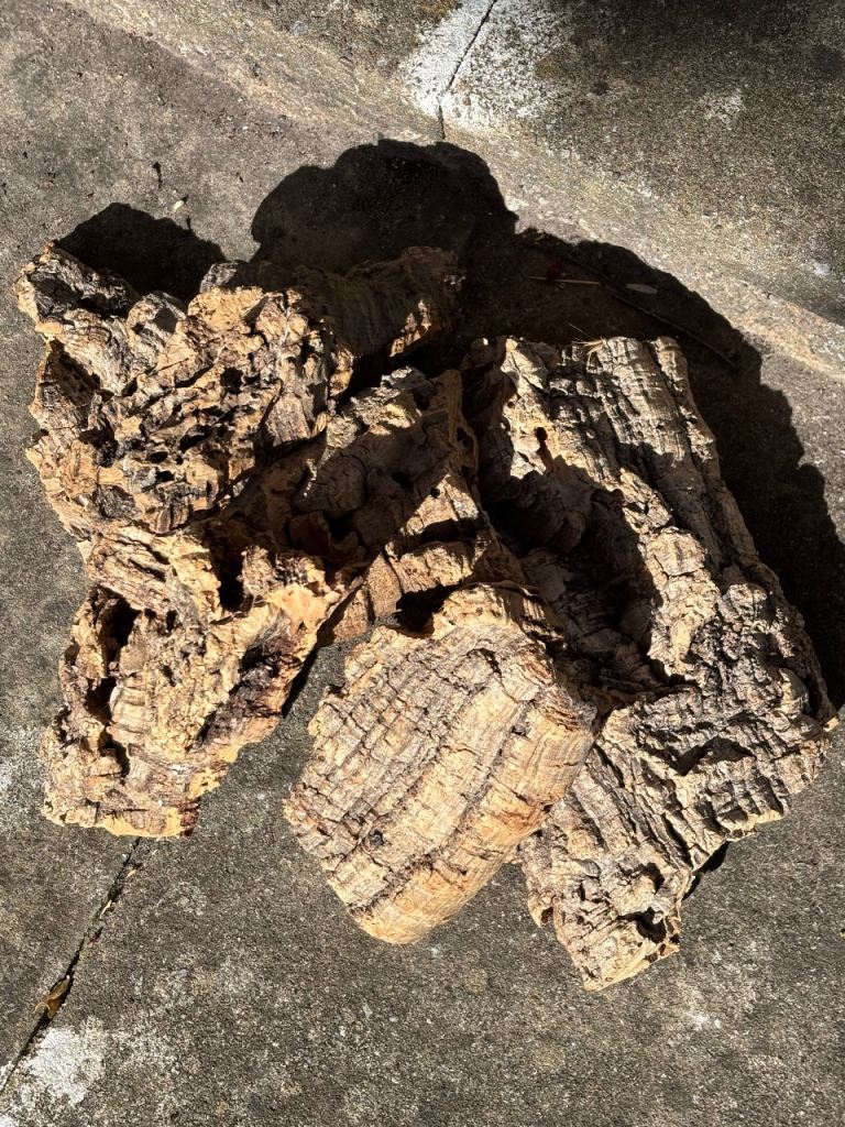 Selection of bogwood