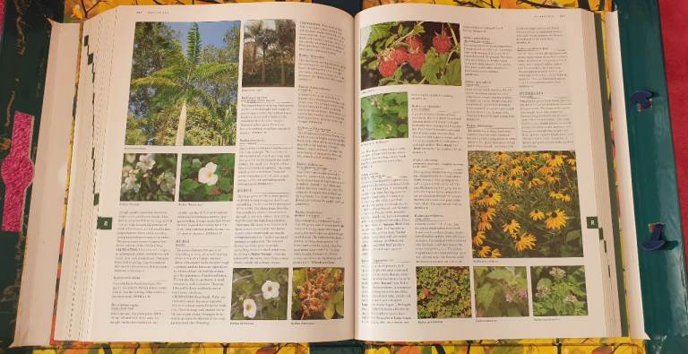For all plant lovers - a mighty tome and CD full of information.
